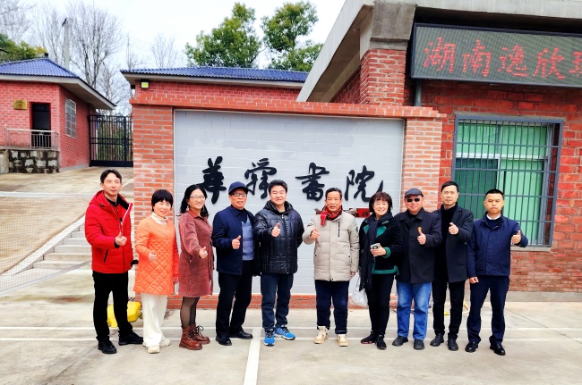 华舜传媒书画院女神节聚首,共商湘商文化海外推广 华舜传媒书画院女神节聚首,共商湘商文化海外推广